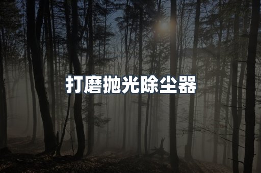 打磨抛光除尘器
