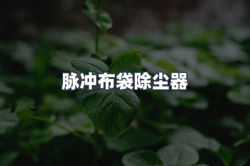 脉冲布袋除尘器